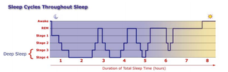 Illustration for article titled Why You Always Wake Up Early After A Night Of Drinking